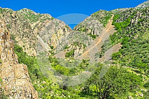 The rocky Gissar mountains