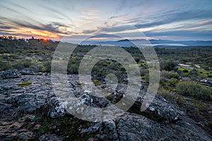 Rocky ground with bushes during the sunset in Grampians National Park, Victoria, Australia