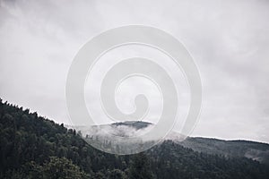 Rocky high mountains. Forest fog laid on the tops of the trees