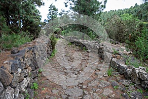 Rocky hiking trail leading to Cueva del Viento in Icod de los Vinos, Tenerife, Spain photo