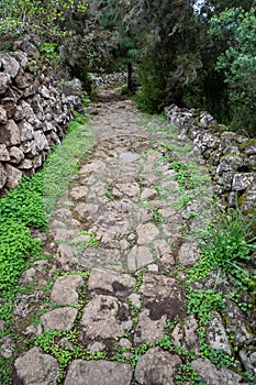 Rocky hiking trail leading to Cueva del Viento in Icod de los Vinos, Tenerife, Spain photo