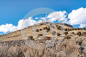 Rocky hill with grasses and bushes against bright blue sky and puffy clouds