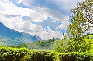 Rocky hills of Munnar,