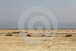 Rocky hills of the Negev Desert in Israel. Breathtaking landscape and nature of the Middle East at sunset