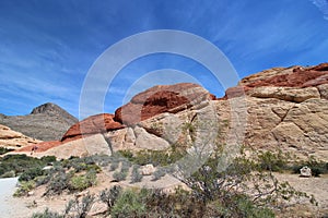 Rocky hills surrounded by green plants in Red Rock Canyon, Nevada, USA