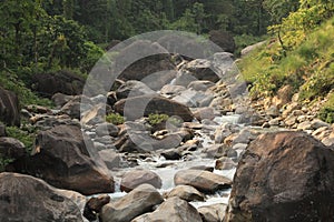 Rocky iland on the river of murti