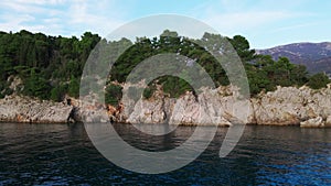 Rocky island covered with vegetation, side drone shooting from height