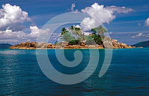 Rocky island with palm trees