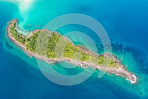 Rocky island sea beach with green tree aerial view