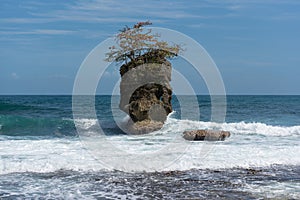 Rocky island with tree in Manzanillo coast, Costa Rica