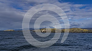 The rocky islets in the Beagle Channel are covered with sparse stunted vegetation. photo