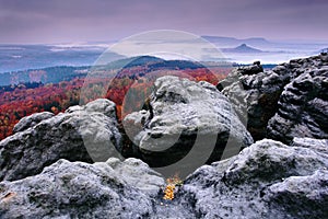 Rocky landscape during autumn. Beautiful landscape with stone, forest and fog. Sunset in czech national park Ceske Svycarsko. Mist