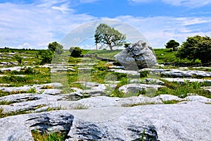 Rocky landscape of the Burren with boulder and limestone fields, Ireland