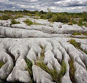 Rocky landscape of The Burren in County Clare, Ireland photo