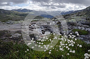 Rocky landscape of Hardangervidda, Norway