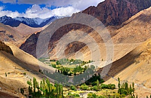 Rocky landscape of Ladakh, green valley, light and shadow, Jammu & Kashmir, Leh, India