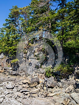 Rocky landscape at Larrabee State Park in Bellingham Washington during summer