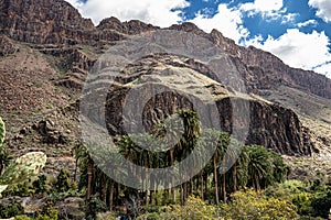 Rocky landscape of the Palm valley at Arteara in Gran Canaria island, Spain