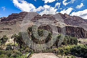 Rocky landscape of the Palm valley at Arteara in Gran Canaria island, Spain