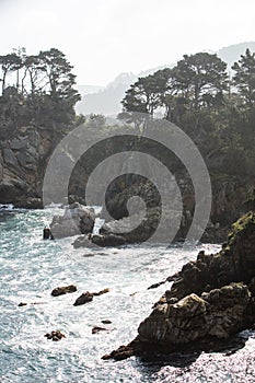 Rocky Landscape at Point Lobos, Carmel, California