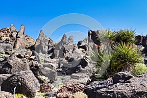 Rocky landscape in the Providence Mountains, Mojave Desert, USA