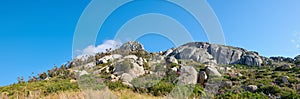 Rocky landscape on the top of Table Mountain in sunny Cape Town, South Africa. Lush green plants and bushes growing