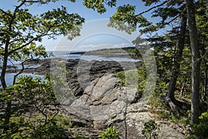 Rocky Maine Coastline Through the Trees