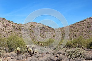 The rocky McDowell mountains covered with Saguaro cacti, Palo Verde bushes, Cholla cacti, and dead brush