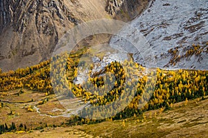 Rocky moraine from Pocaterra ridge in Kananaskis country, Canada photo