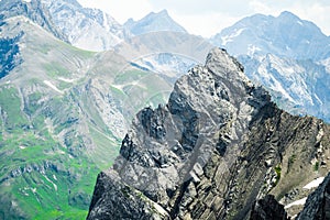 Rocky Mountain Alpine Landscape