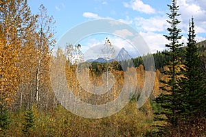 Rocky Mountain autumn