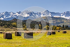 Rocky Mountain Autumn Hay Field With Towering Snowy Peaks