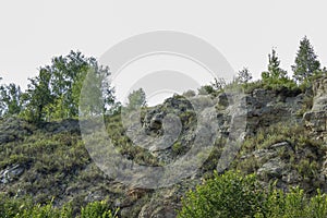 Rocky mountain or cliff wall with trees on top of it and a blue sky