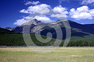 Rocky Mountain Field