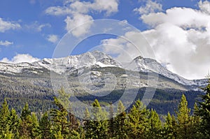 Rocky mountain with green trees and snow