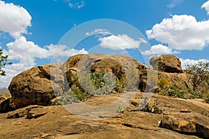 Rocky mountain hill in african savanna bush