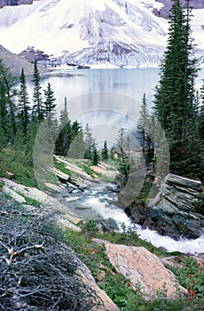Rocky Mountain Lake and Stream British Columbia Ca
