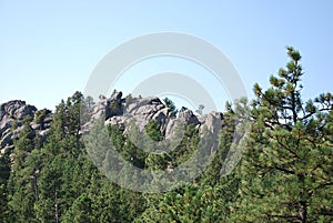 Rocky Mountain Landscape in the Black Hills, South Dakota