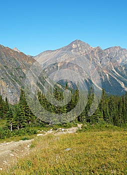 Rocky mountain and meadow