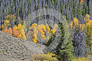 Rocky Mountain National Park