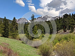 Rocky Mountain National Park Landscape with Mountains and Trees