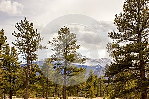 A majestic view of the Rocky Mountain National Park, Colorado, USA