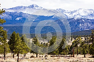 A majestic view of the Rocky Mountain National Park, Colorado, USA