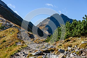 Rocky mountain peak area view in slovakia