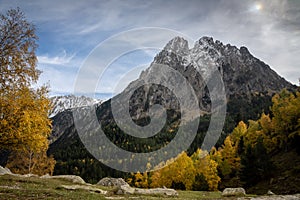 Rocky mountain peak and pinetrees landscape during autumn photo