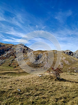 Rocky mountain range on a beautiful blue sky day and green grass field as peaceful landscape during autumn experience