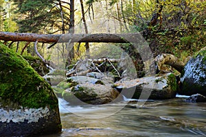 Rocky mountain river