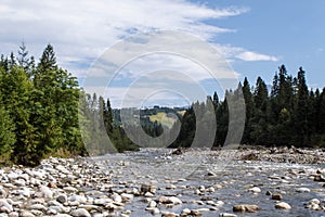 Rocky mountain river surrounded by trees