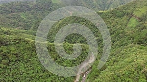 Rocky mountain rugged winding road replete with natural grown trees.