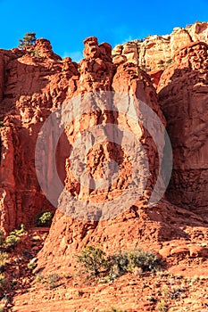 A rocky mountain with a small tree growing on it